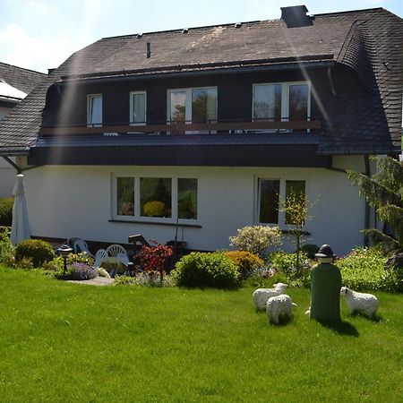 Pension Robin Hood Willingen  Extérieur photo