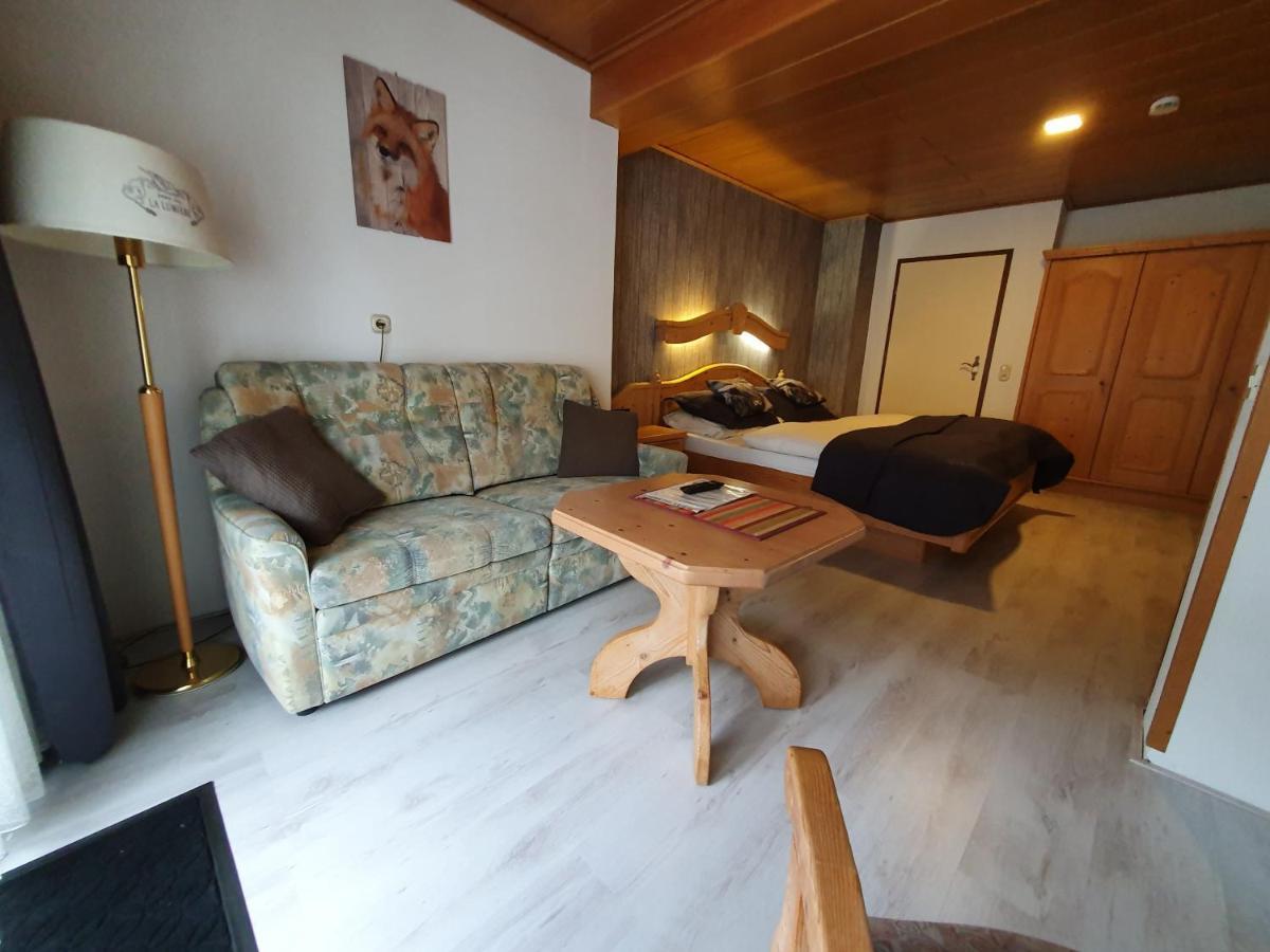 Pension Robin Hood Willingen  Extérieur photo
