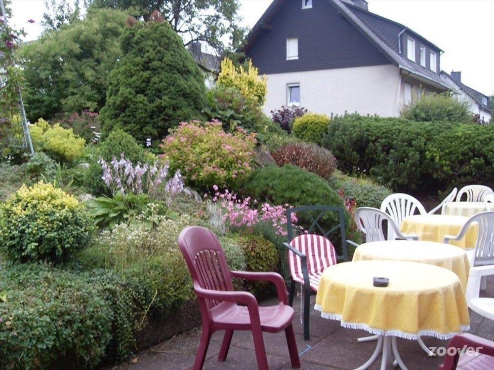 Pension Robin Hood Willingen  Extérieur photo