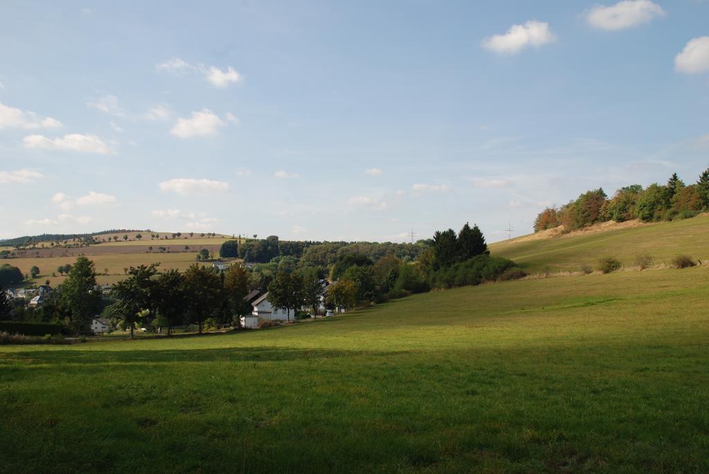 Pension Robin Hood Willingen  Extérieur photo