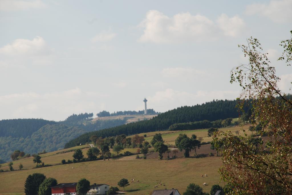 Pension Robin Hood Willingen  Extérieur photo