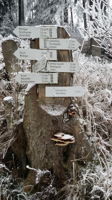 Pension Robin Hood Willingen  Extérieur photo